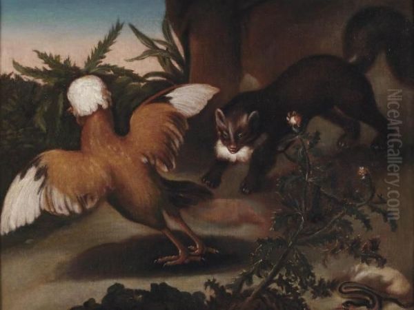 A Pine Marten Attacking A Dutch Crested Fowl Oil Painting by Matthias Witthoos