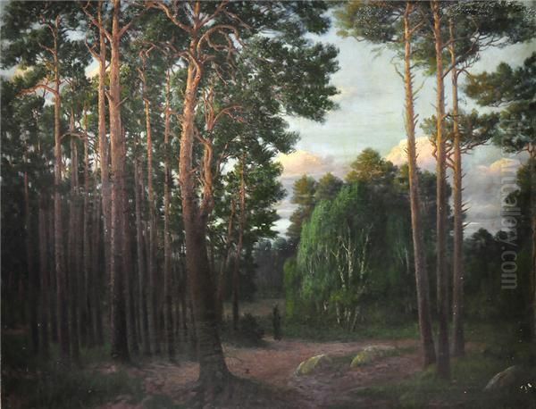 Heidelandschaft. Kiefern In Der Abendsonne Oil Painting by Albert Wohlenberg