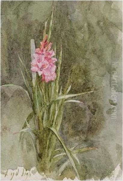 Sunflower; Pink Gladiolae Oil Painting by Helen Mary Elizabeth Allingham