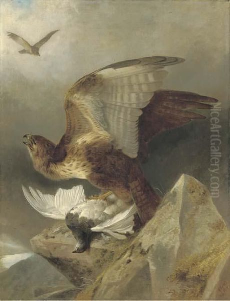 A Buzzard With A Ptarmigan In A Highland Landscape Oil Painting by Richard Ansdell