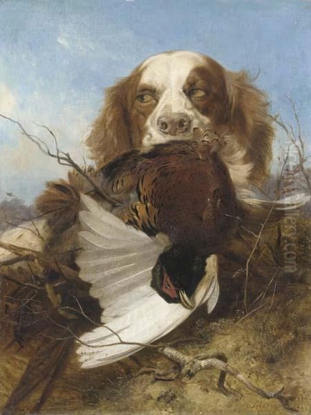 An English Setter With A Pheasant Oil Painting by Richard Ansdell