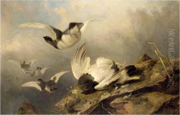 Ptarmigan Oil Painting by Richard Ansdell