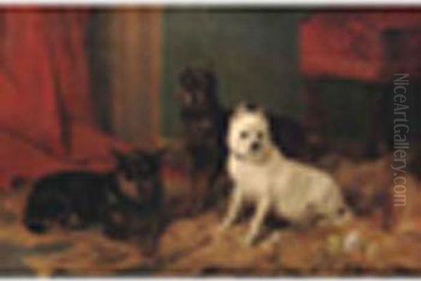 R.a. Twomanchester Terriers 
With An Old English White Terrier Signed Andinscribed ' R. Ansdell Esq, 7
 Victoria, Kensington, On An Old Labelon Reverse, Oil On Canvas 24 X 
36in Oil Painting by Richard Ansdell