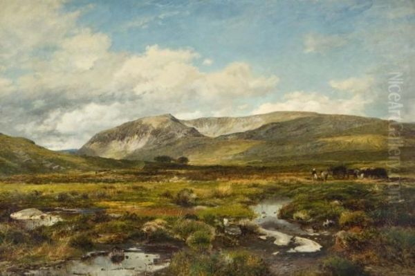 In The Ogwen Valley Wales. Oil Painting by David Bates