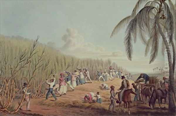 Slaves Fell the Ripe Sugar Antigua Oil Painting by William Clark