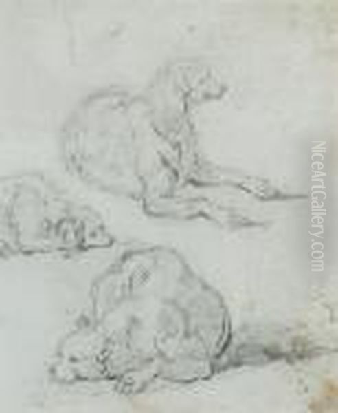 A Study Of A Dog Oil Painting by George Chinnery