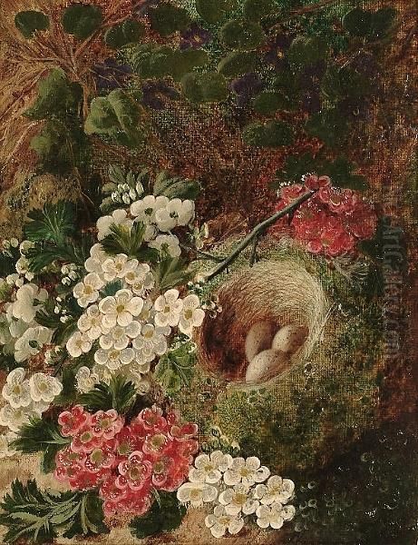 Still Life With Flowers And A Birds Nest On Mossy Bank Oil Painting by Oliver Clare