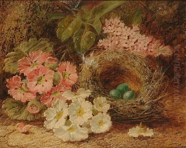 Primroses And A Birds Nest On A Mossy Bank Oil Painting by Oliver Clare