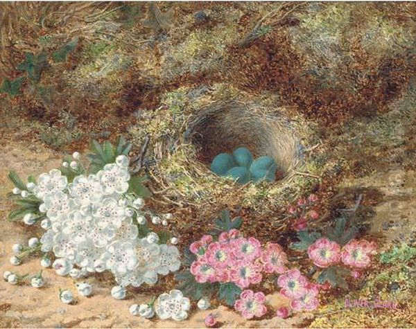 Still Life Of Apple Blossom And A Bird's Nest On A Mossy Bank Oil Painting by Oliver Clare