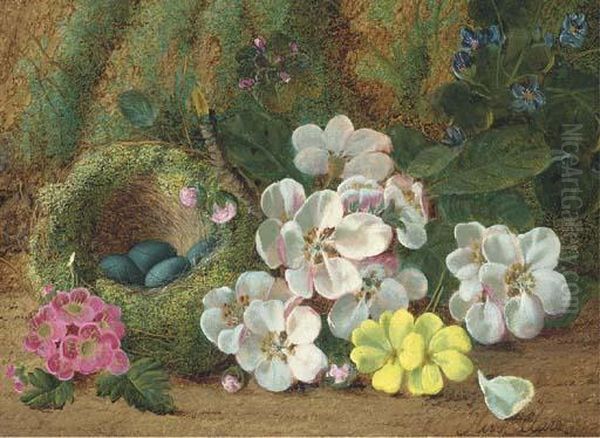 Apple Blossom, Primroses And A Bird's Nest With Eggs, On A Mossybank Oil Painting by Oliver Clare