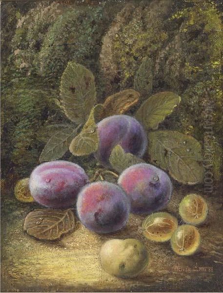 Still Life Of Plums And Gooseberries On A Mossy Bank Oil Painting by Oliver Clare