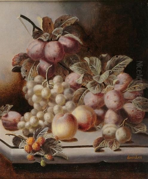 Still Life Of Plums, Peaches And Rasperries On A Ledge Oil Painting by Oliver Clare