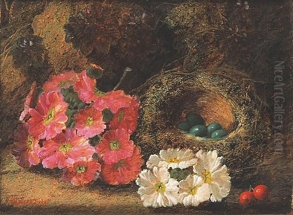 Pink And White Flowers And Two Red Berries By A Bird's Nest Against A Bank Oil Painting by Oliver Clare