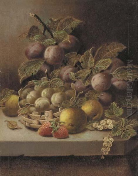 Plums, Apples, Strawberries, And
 Whitecurrants With Greengages In Awicker Basket On A Stone Ledge Oil Painting by Oliver Clare