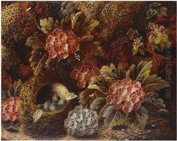 Still Life Of Bird's Nest And 
Flowers; Still Life With Fruit, Both Signed, Oil On Board, Each 17 X 
21.5 Cm.; 6 3/4 X 8 1/2 In Oil Painting by Oliver Clare