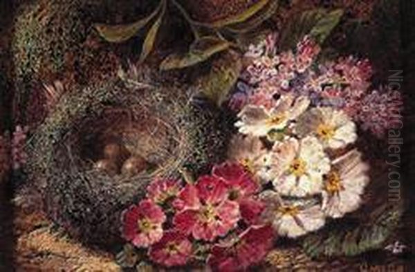 A Still Life Of Primula And Bird's Nest Oil Painting by Oliver Clare