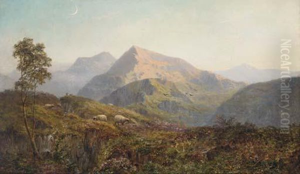 Sheep In A Highland Landscape, Evening Oil Painting by Alfred de Breanski