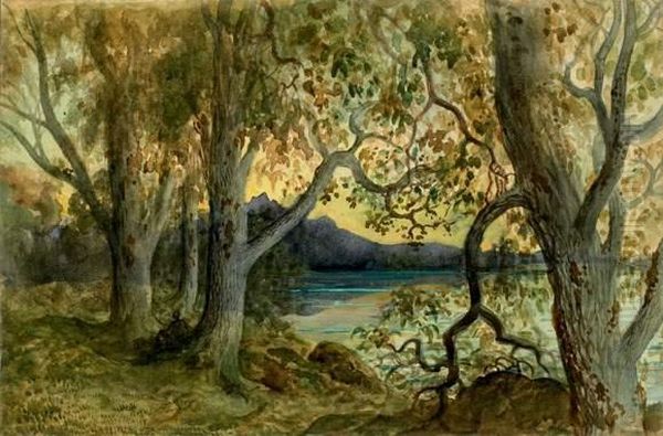 Paysage Lacustre Boise
 Aquarelle Gouachee Sur Trait De Crayon Noir Oil Painting by Gustave Dore