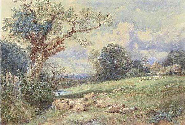 Sheep Resting Beneath A Tree, With Harvesters Beyond Oil Painting by Myles Birket Foster