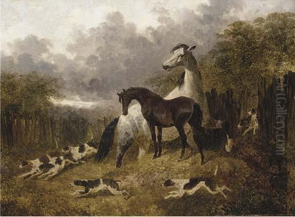 A Mare And Foal With A Pack Of Hounds Oil Painting by John Frederick Herring Snr