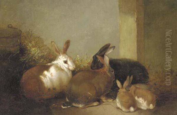 Rabbits In A Barn Oil Painting by John Frederick Herring Snr