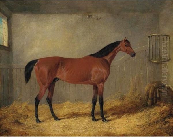 The Duke Of Grafton's Bolivar In A Stable Oil Painting by John Frederick Herring Snr