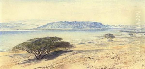 The Southern End Of The Dead Sea Oil Painting by Edward Lear