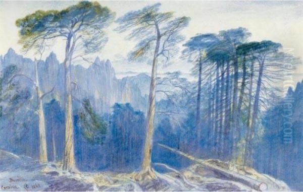 The Pine Forest Of Bavella, Corsica Oil Painting by Edward Lear