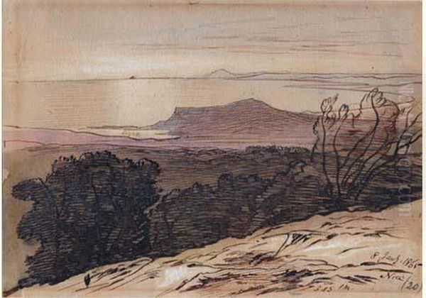 Vue De Nice A Partir Du Col De Villefranche Oil Painting by Edward Lear