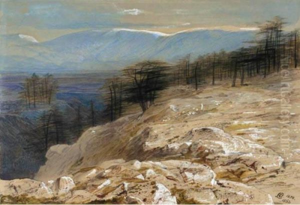 The Cedars Of Lebanon Oil Painting by Edward Lear