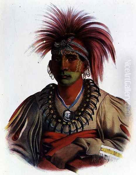 Nowaykesugga an Otto Oil Painting by Charles Bird King