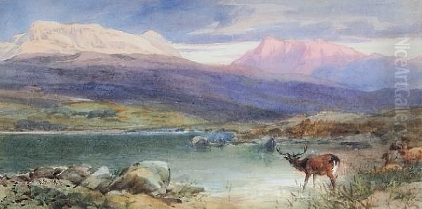 Highland Loch Landscape With Stagwatering Oil Painting by Thomas Miles Richardson