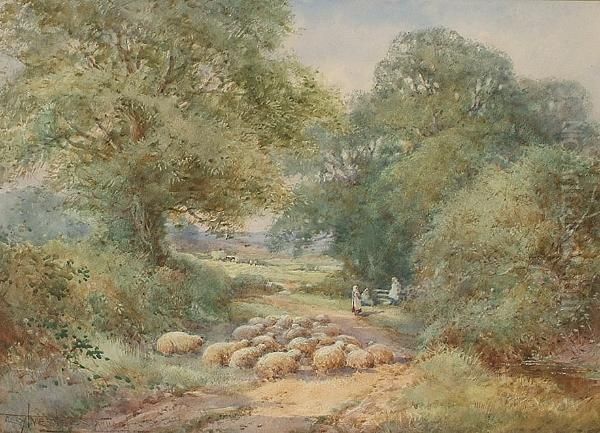 A Flock Of Sheep By A Country Road Oil Painting by Henry John Sylvester Stannard