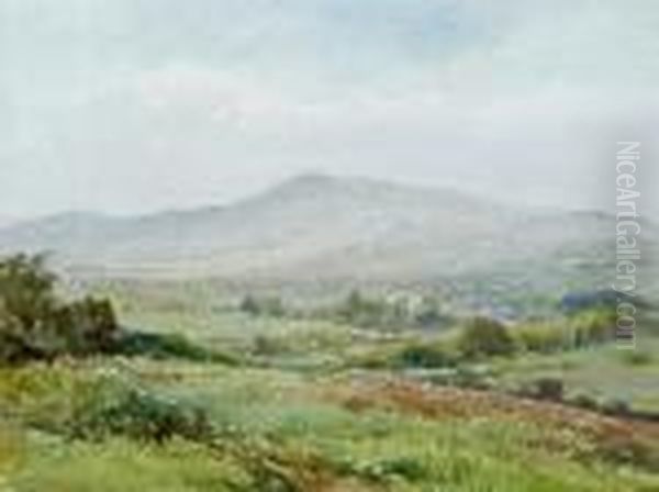 Dartmoor by Henry John Sylvester Stannard