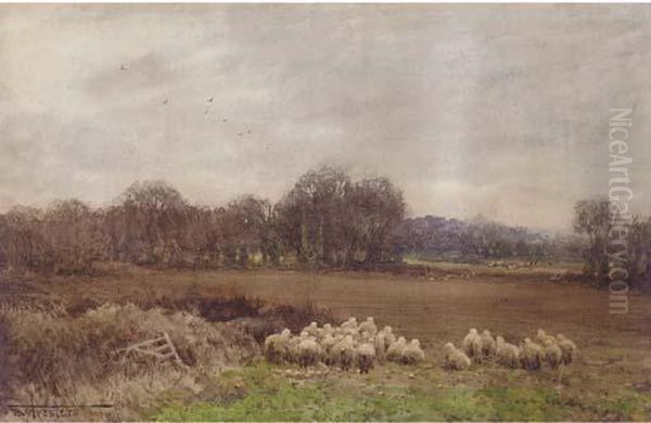 Hounds On The Scent Oil Painting by Henry John Sylvester Stannard