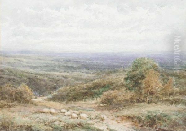 A View In Surrey Oil Painting by Henry John Sylvester Stannard