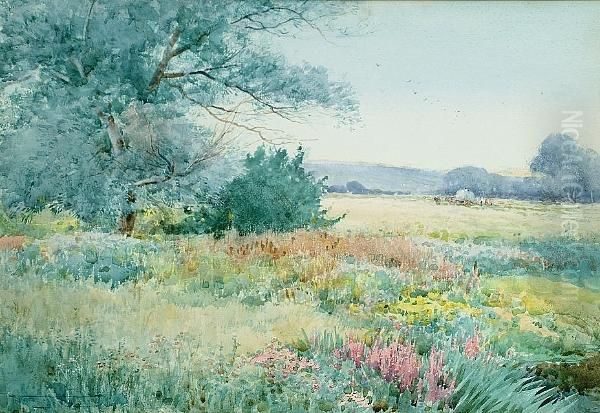 Nature's Garden Oil Painting by Henry John Sylvester Stannard