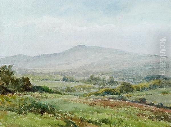 Dartmoor Oil Painting by Henry John Sylvester Stannard