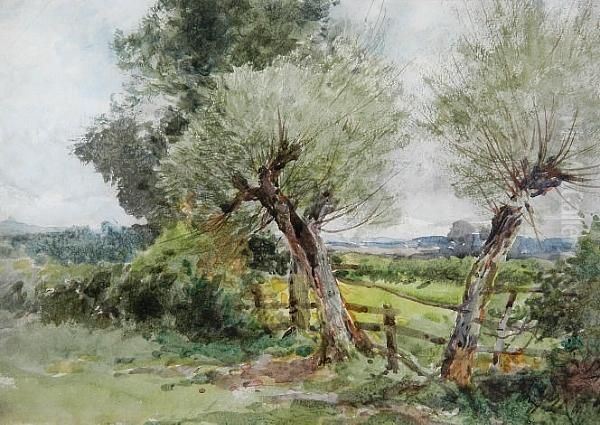 Pollarded Trees Oil Painting by Henry John Sylvester Stannard