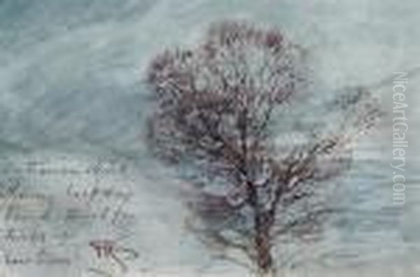 Study Of A Tree Oil Painting by Henry John Sylvester Stannard