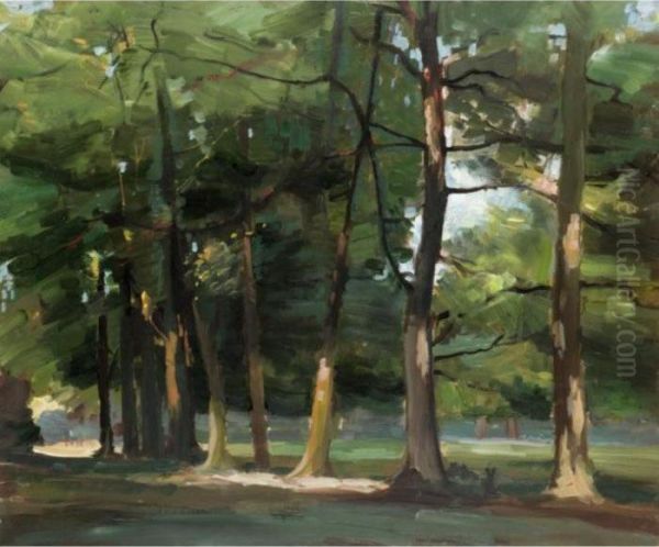 Cedars At Combe Bank, Near Sevenoaks, Kent Oil Painting by Arthur Ernest Streeton