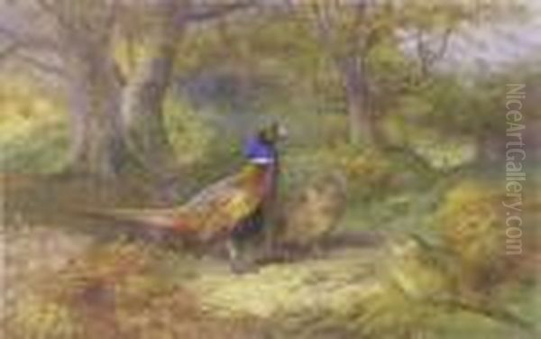 Pheasants In A Landscape Oil Painting by Archibald Thorburn