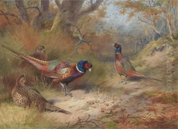 Ring Neck Pheasants Oil Painting by Archibald Thorburn