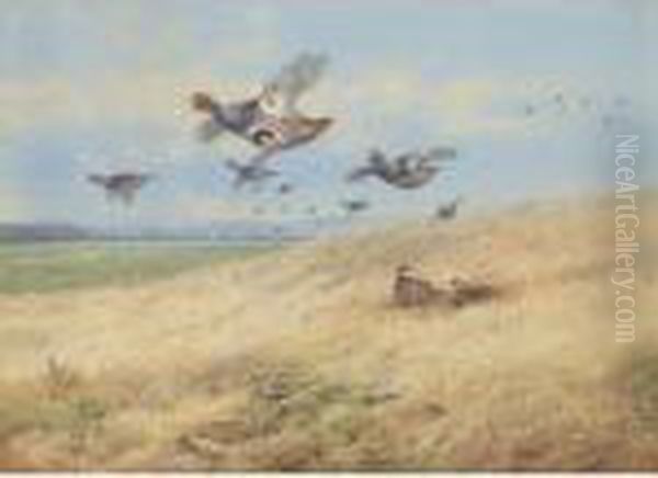 Grey Partridges In Flight Oil Painting by Archibald Thorburn