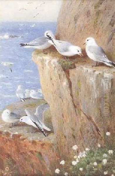 Seagulls Oil Painting by Archibald Thorburn