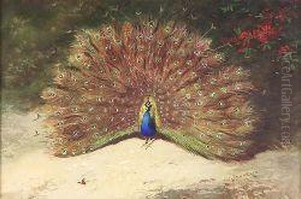 Peacocks Oil Painting by Archibald Thorburn