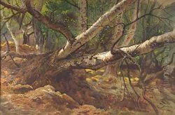 Fallen Trees Oil Painting by Archibald Thorburn