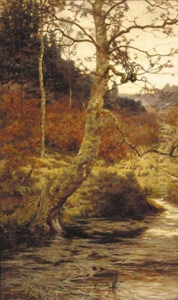 A Sunlit Stream In A Wooded Landscape Oil Painting by Albert Goodwin