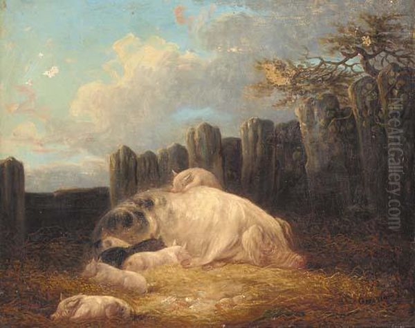 Pigs In A Sty Oil Painting by George Morland