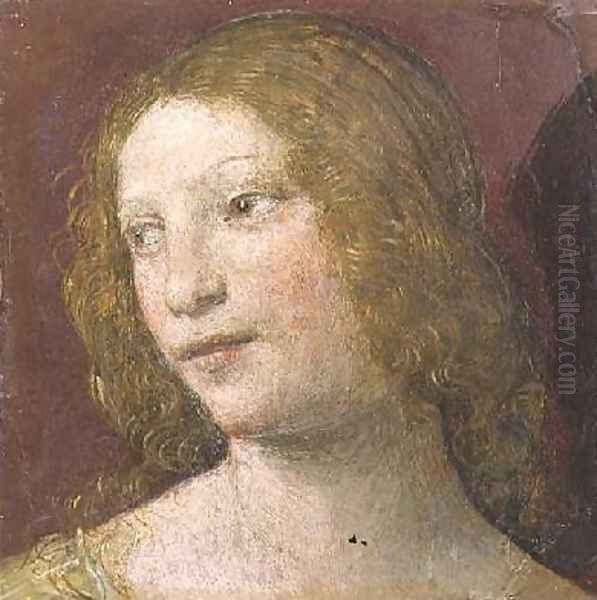 Head of a Young Woman Oil Painting by Bernardino Luini